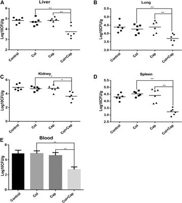 Synergistic Activity of Capsaicin and Colistin Against Colistin-Resistant Acinetobacter baumannii: In Vitro/Vivo Efficacy and Mode of Action